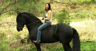 Friesian Horse Wrangler - Sue Schepisi 